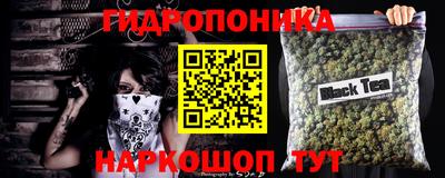 дмт Будённовск