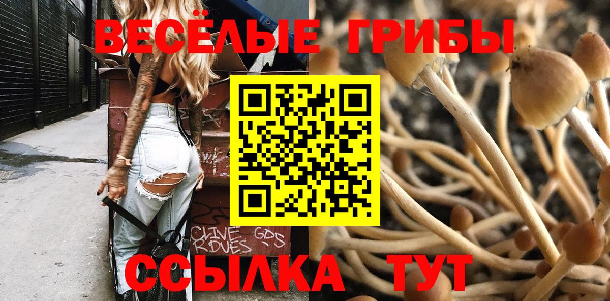 Галлюциногенные грибы Magic Shrooms  Вход с VPN  Галлюциногенные грибы ЛСД  Сарапул 